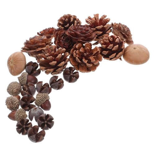 Amosfun Pini Decorativi Decorazioni Pinecone del Ringraziamento Coni Pino su Un Bastone pigne Artigianali pini Forniture per creazione Piccole pigne Legno