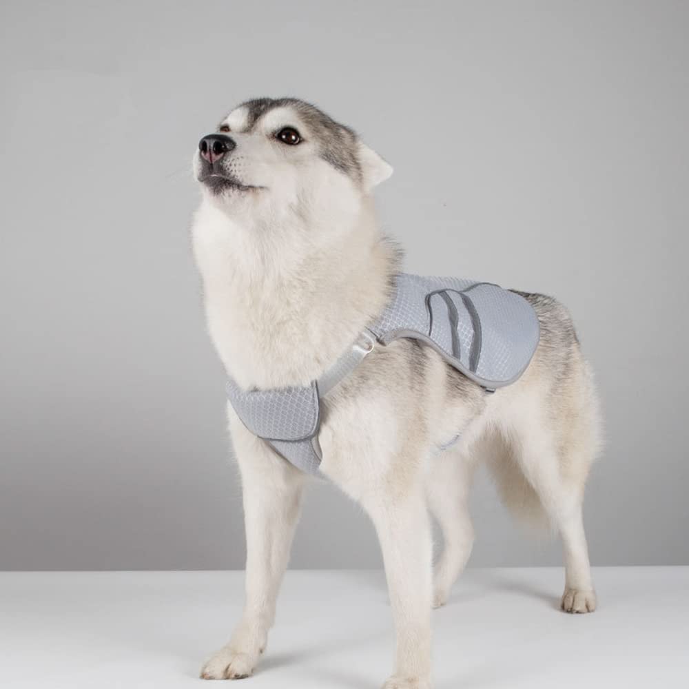 Gilet de refroidissement pour chiens Namvo en maille respirante