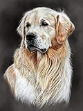 AVWXZBDFH Golden-Retriever-Tierposter Und -Drucke, Vintage-Leinwandbilder Für Die Wanddekoration, 50 X 70 Cm, Ohne Rahmen