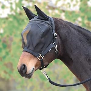 Busse Vliegenhouder Fast