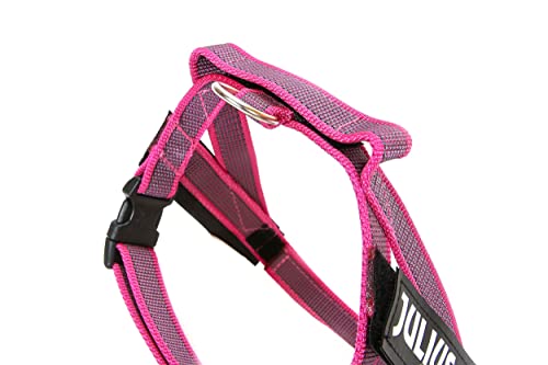 Julius-K9, IDC® Color & Gray® Beltgeschirr