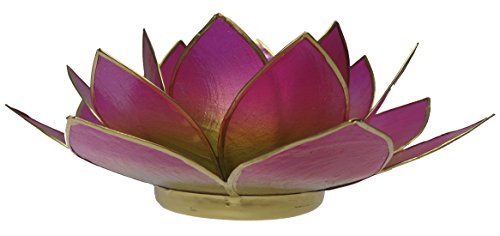 Trimontium tl12016g Photophore Prairie sous la Forme d'une dreiblättrigen Fleur de Lotus Capiz avec Info de Coquillage, Bicolore Rose/Vert, 14 x 14 x 8 cm