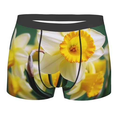 Men's Underwear Boxer Briefs Supersoft Brushed Stretch Boxer Briefs Daffodil Flower Mens Trunks