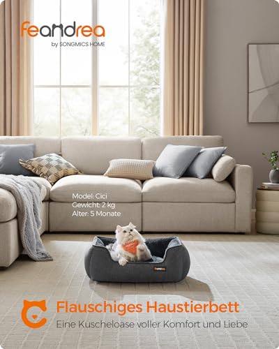 Feandrea Katzenbett, Hundebett, Hundekissen in Leinenoptik, erhöhte Ränder, rutschfeste Unterseite, Bezug abnehmbar waschbar, S, für Minihund, 60 x 50 x 21 cm, dunkelgrau PGW009G01