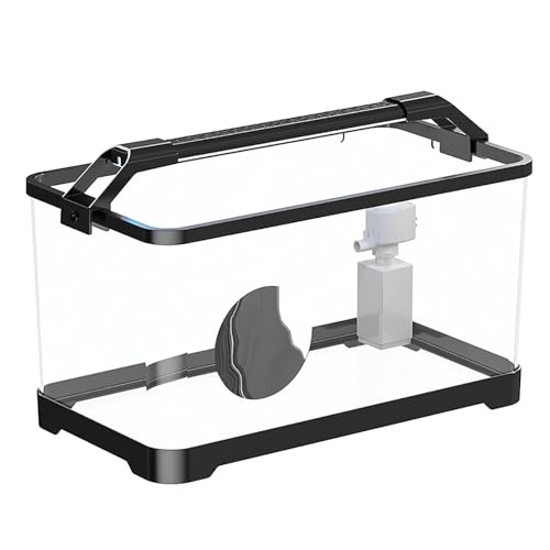 Luz LED para pecera, lupa de acuario, kit de inicio de peces Betta con filtro para nano, pez dorado, caracol y camarón