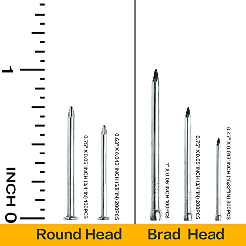 Tuplip Fe- Picture Hanging Kit, Nails Hammer Set, Assorted Nails 900Pcs 5 Sizes With 100G Engineers' Hammer, Small Hammer & Small Nails For Wood/Wall/Frame/Photo/Carpentry/String Art Diy #TOP1