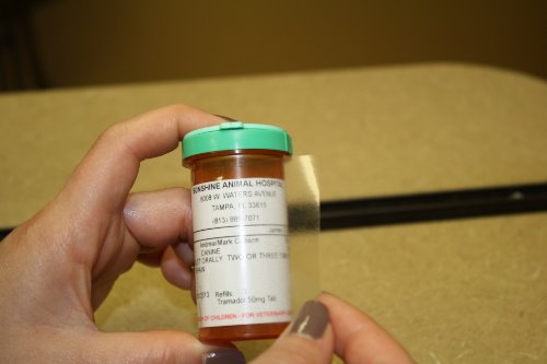 Labelvalue.com | Clear Label Protector Shields 2.25" X 3" - 400 Label Shields Per Roll #TOP3