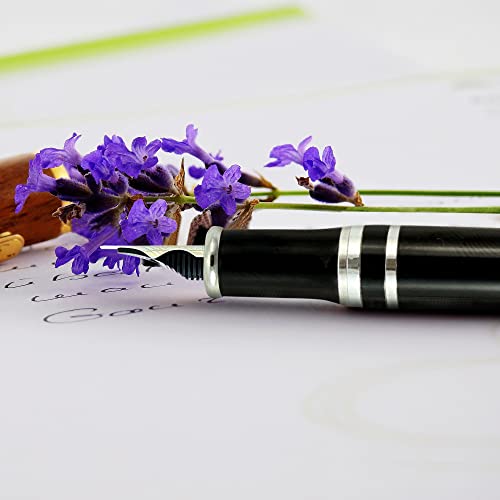 Fountain Pen Revolution Fpr Ambassador Black Fountain Pen W/Ultra Flex Nib - Luxury Pen Set Includes Bottle Filling Converter & 2 Long Cartridges #TOP5