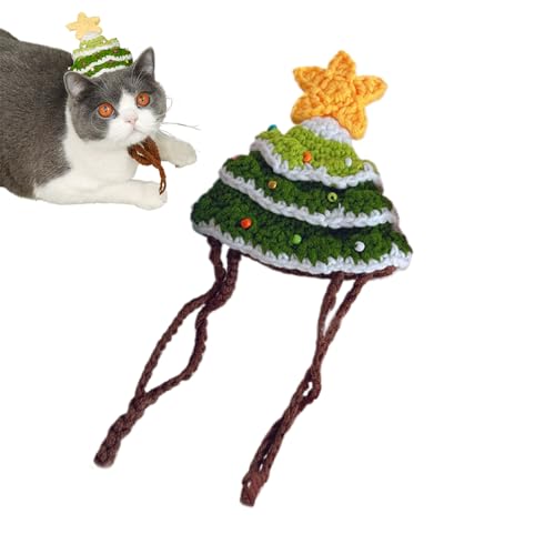 ybgnbg | hXAbvߑ - ybg̃o[Xf[nbg - q qL p[eB[ RXv tFXeBo ~ a nEB VN