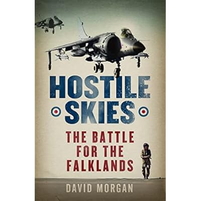 Hostile Skies