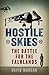 Hostile Skies
