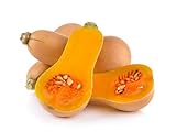 Fresh Butternut Squash by RawJoy Farms