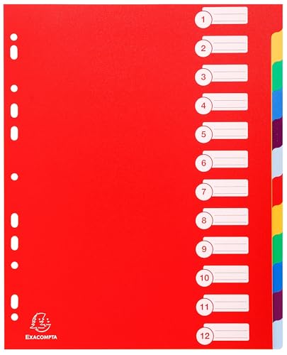 Intercalaires polypropylène rigide Exacompta pour organiser vos projets professionnels