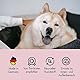 Belly Hundeabwehrspray - 250ml - Effektives Spray zur Hundeabwehr gegen Urinieren im Haus, Urine Stop, Geruchsneutralisierer auch als Kratz & Knabberschutz, Hundeschreck, Anti Urin Spray Hund