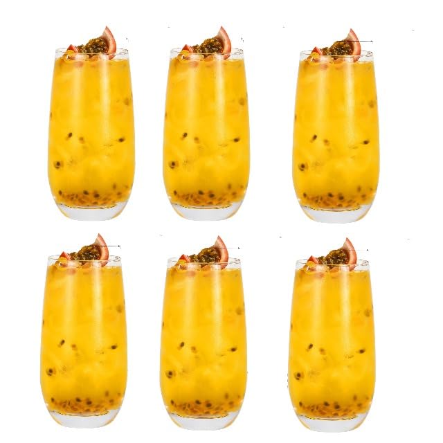 Highball Glasses Set of 6 Large 16oz Drinking Glasses for Mojitos Cocktails and Mixed Drinks Lead-Free and Ideal