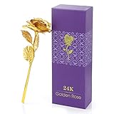 【1】 24 Karat vergoldete Rosenblume aus Kunststoff mit dünner 24 Karat vergoldeter Folie