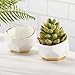 Kate Aspen 23216NA Geometric Ceramic Planters Decorative Bowls (Set of 2) Trinket Dish, Home, Room, Desk, Table Décor, One Size, White