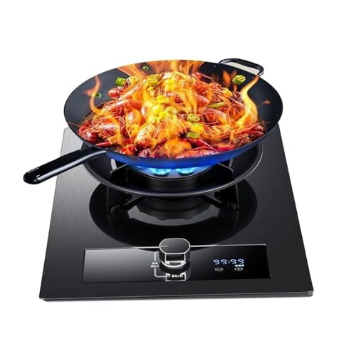 THEGA Estufa De Gas para Interiores De 5,2 KW: Placa De Gas De 1 Quemador Integrada, Placa De Cocina De Vidrio Templado, con Protección contra Llamas Y Temporizador(LPG)