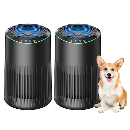 MERONTE Air Purifiers for Bedroom Home with Sleep Mode for Smoke Pet Dander Odors, Small Air Purifier with Fragrance Sponge, Blue Ambient Light, 23dB Quiet, MR2566, 1 Type 2 Pack Black