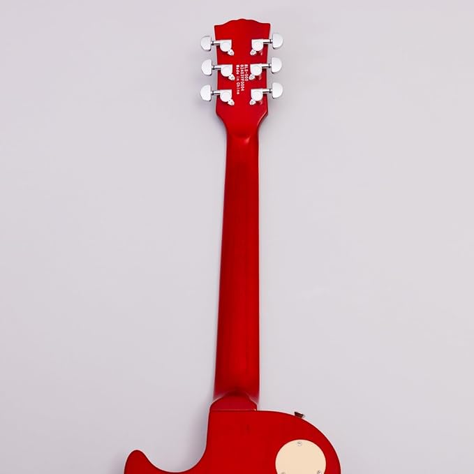 BUSKER'S BLS-500 HCS Lespole Standard Stainless Philippines | Ubuy