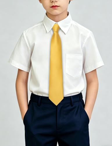 Image of Hi-Tie Pretied Boys Ties Solid Color Kids Adjustable Necktie Lapel Pin Clip Set Age 8-12 Wedding School Graduation
