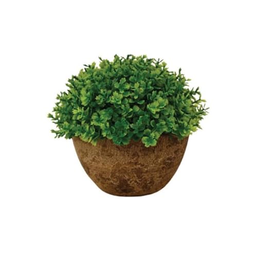 Buchinho Com Vaso Grama Artificial Decorativo Verde Planta