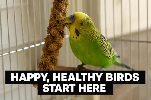 Birds LOVE French Kissed Spray Millet for Birds - Parakeets, Cockatiels, Lovebirds, Finches, Budgies, Canaries, Cockatoos - Natural & Healthy Bird Millet - Parakeet Food & Treats for All Parrots 5lbs