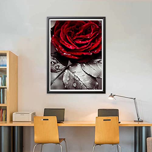 Jantabo Diamond Schilderij Kits Roos, 5D DIY Bloem Volwassenen Beginners Diamond Painting Set Volledige Boor Cross… - Image 4
