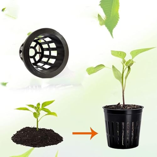 RXKFIGX 60 Pack 2 Inch Net Pots, Garden Slotted Mesh Net Cups - Image 4