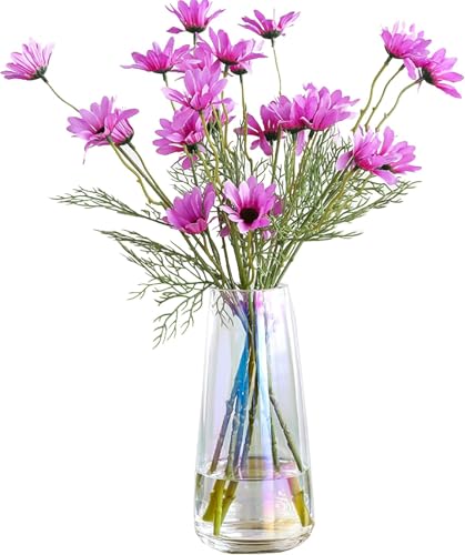 Image of Mahganya Decorative Glass Vase for Flowers Plants Home Decor Office Living Table Decorations, Vases for Home Decor, Luster Glass Vase, Heavy Weight, Sturdy (Transperent)