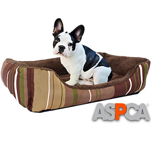 ASPCA Microtech Dog Bed, for Small to Medium Pets, Brown