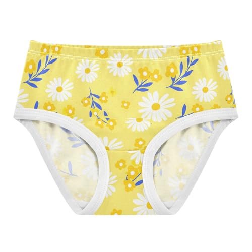 Summer Flowers Floral Yellow Toddler Girls's Underwear 2T 2302217
