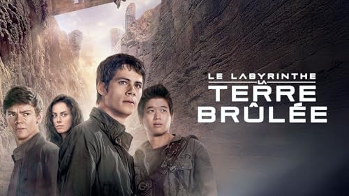 Le Labyrinthe : La Terre brûlée – vue 2