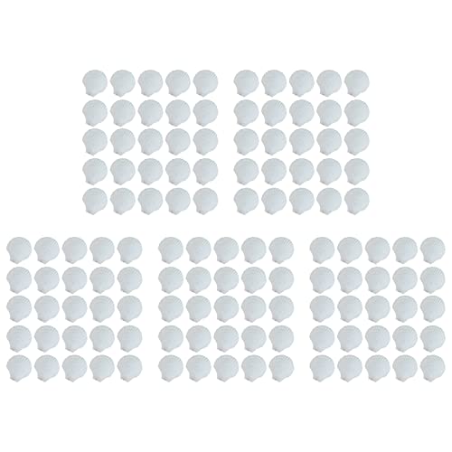 Coquille de Pétoncle pour Remplacer le Plastique en Art Plastique - Support Peinture Propre