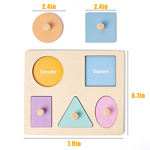Montessori Wooden Colorful Geometry Pegged Puzzle with Knob Baby Toddler 1-3 Year Old Multi Shape Sorter Educational Toy Jigsaw, 5Pcs in Double Row