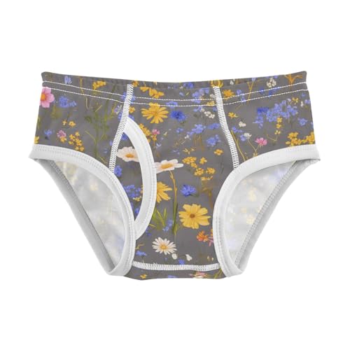 KLL Colorful Wildflowers Pattern Toddler Boys' Pure Cotton Briefs Breathable Undies