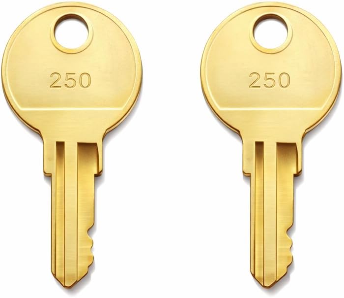 2-Pack AJW HL250 Keys Compatible with ESP and Hudson Locks, for U180 Folded Towel Dispenser