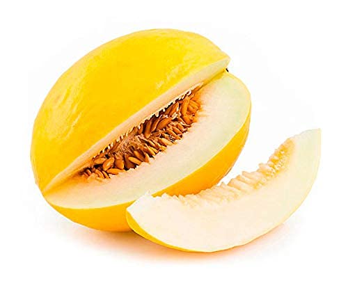 Golden Hills Farm Hybrid Natural Yellow Muskmelon Seeds - Musk Melon Golden (Orange Flesh)100+ Seeds (B0966KF32C) Amazon Price History, Amazon Price Tracker
