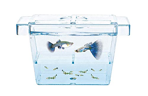 Nicepets - Paridera para Peces alevines y criadero para Acuario Especialmente diseñado para aislar crias guppys