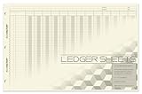 BookFactory Ledger Sheets/Large 13 Column Accounting Ledger Columnar (Thirteen Columns) Loose Leaf Paper - 17'' x 11'', 50 Pages, Loose Leaf, 3 Hole Punched (Made in USA)