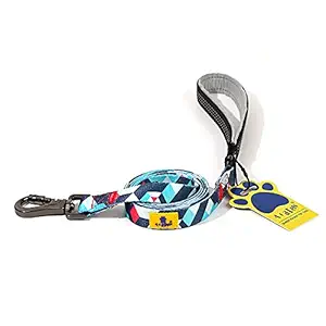 A+a Pets' Nylon Waterproof Leash | Neoprene Padded Handle for Dogs & Cats (Geometric Design, Large, Blue/Red)