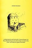  Archäologische und historische Untersuchungen zur Burg Blankenberg an der oberen Saale im Saale-Orla-Kreis vom hohen bis späten Mittelalter: Jenaer Schriften zur Vor- und Frühgeschichte (Band 5)