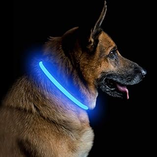 PetIsay LED Dog Collar, 360-Degree Light Up - Glow in Dark Dog Collars - USB Rechargeable - Water Resistant - Cut to Fit Any Size - Royal Blue