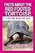 Facts About The Red Footed Tortoise (A Picture Book For Kids)
