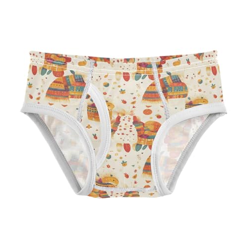 visesunny Boys Potty Training Underwear Alpaca Color Blanket Market Breathe Cotton Briefs Size 2T-8Y for Toddler