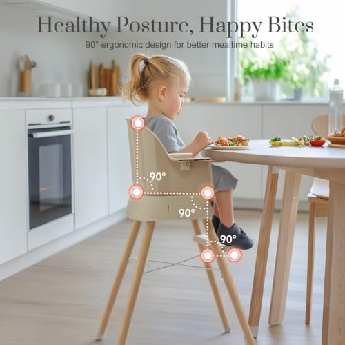 Image of Mallify 6 in 1 Convertible Baby High Chair with Removable Double Tray | Adjustable Infant Booster Seat, Steel Frame, Highchairs for Babies and Toddlers with 5-Point Harness, Easy to Clean & Install