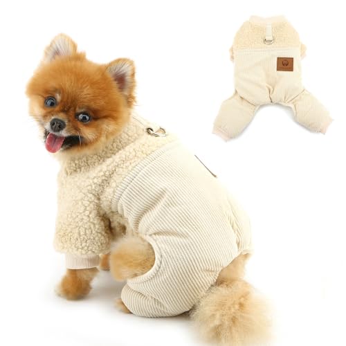 PAIDEFUL  H ~ ^p R[fC {A R[g ~p h  AE^[ I[o[I[  4rt WvX[c [hOt ` [L[ Lp  ybgEFA,x[W,M