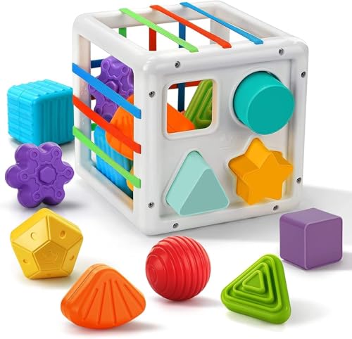 Niku Shape Sorter Baby Sensory bin Cube Toy for Kids Toddlers 0-4 Years | BPA Free Non Toxic | 10 Shape Blocks | Montessori Toys | Best Birthday Gift (B0DC4PJNH3) Amazon Price History, Amazon Price Tracker