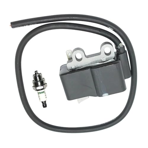 Bobine d'allumage pour PB-580T pièce de rechange motoculture A411001620 avec bougie d'allumage BM6A