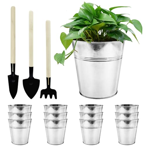 WAIZHIUA 12 macetas de metal de 12 cm, macetas de hierro galvanizado, macetas de jardín, macetas de jardín con mini herramientas para plantas, hierbas, flores, arbustos, uso en interiores y exteriores